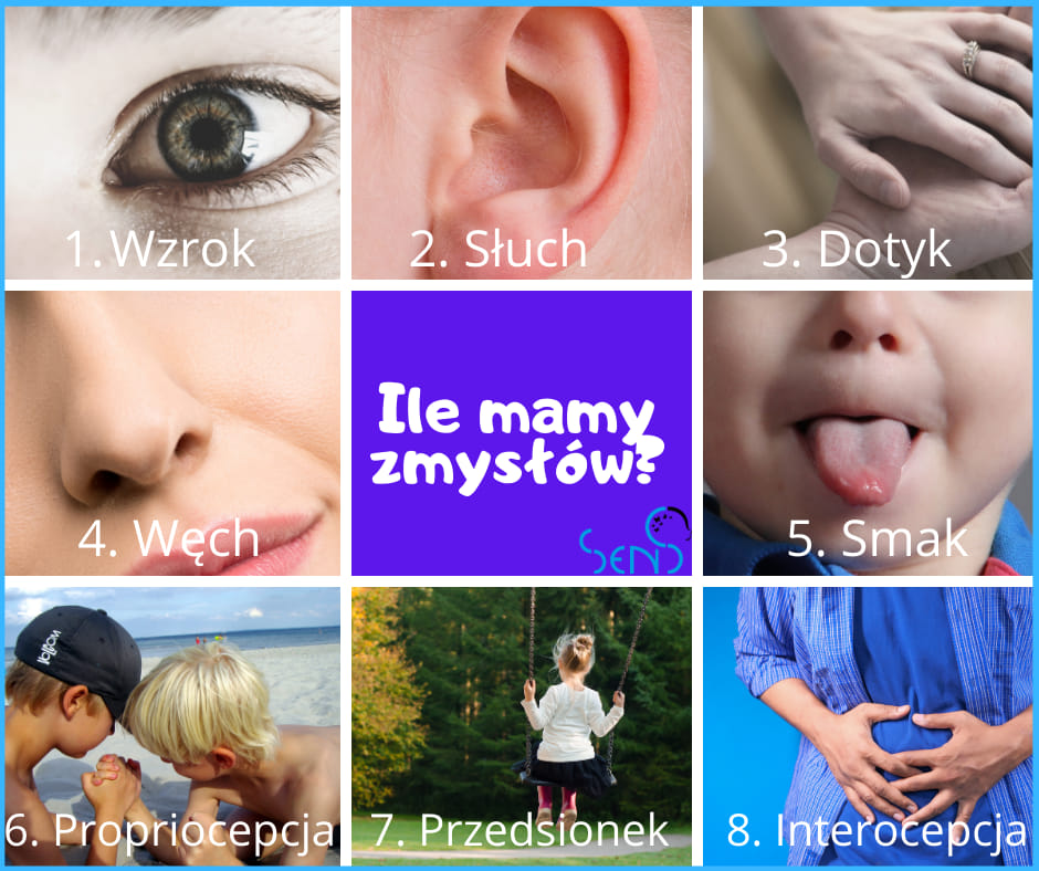 Ile mamy zmysłów?