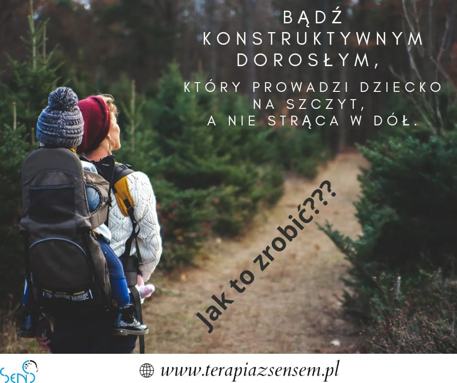 Konstruktywny dorosły