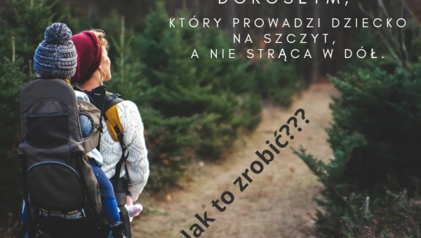 Konstruktywny dorosły