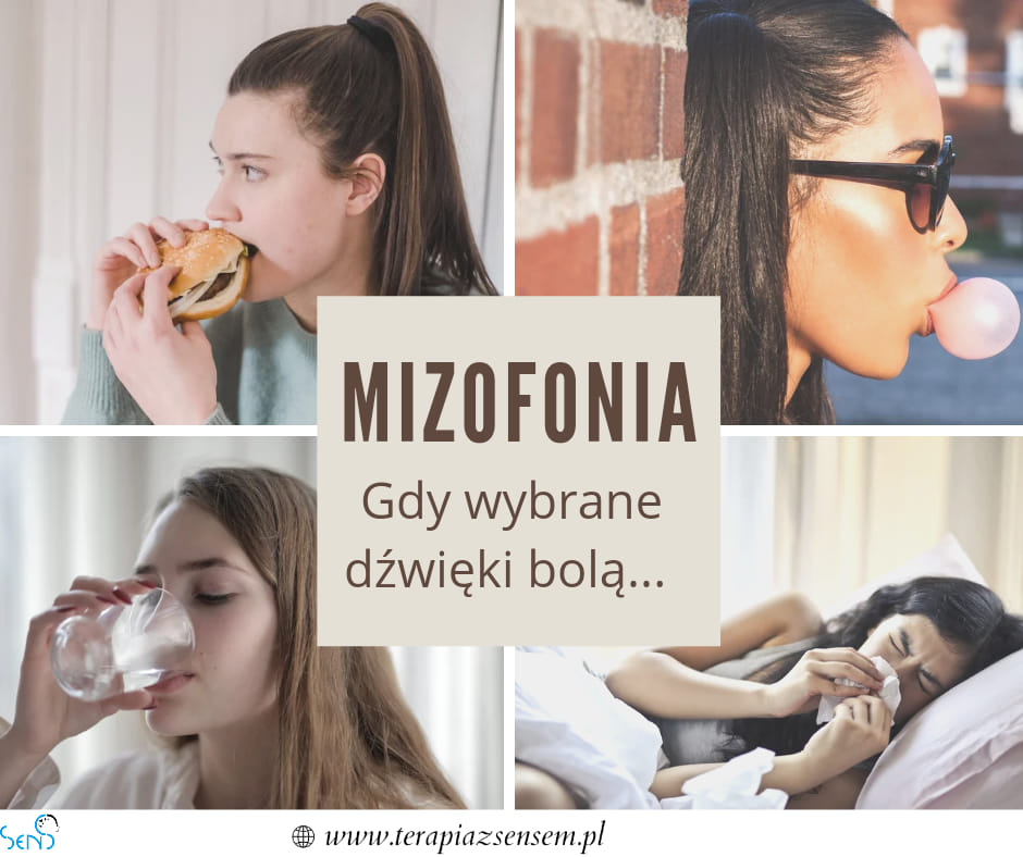 Mizofonia