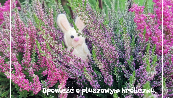 Opowieść o pluszowym króliczku