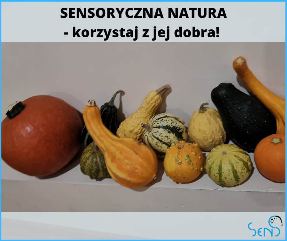 Sensoryczna natura